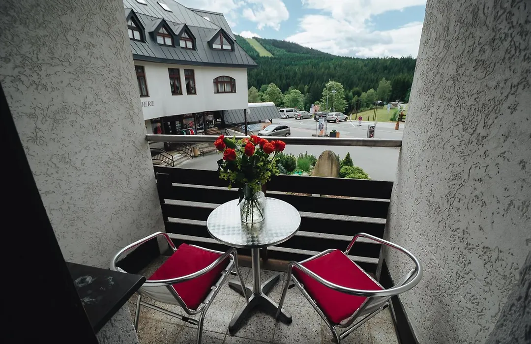 Pension Mona-1