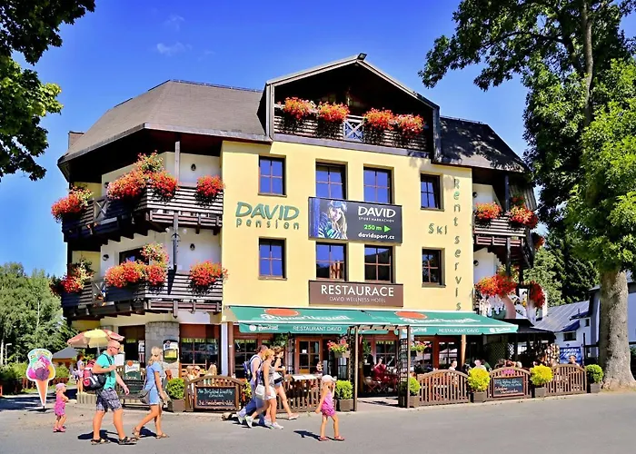 David Wellness Hotel